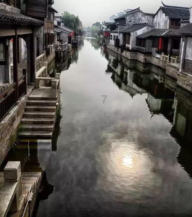红色鹦鹉逃脱